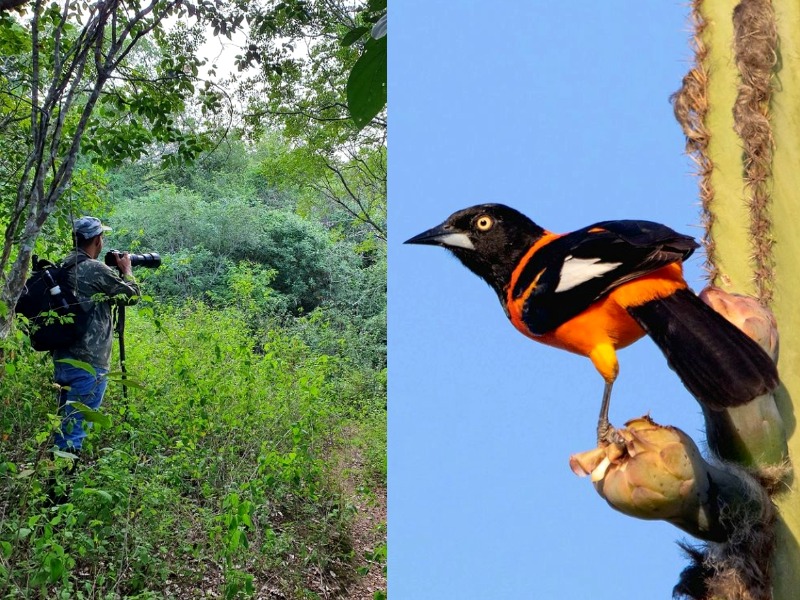 Advogado de Conceição do Coité faz importante trabalho de preservação ambiental