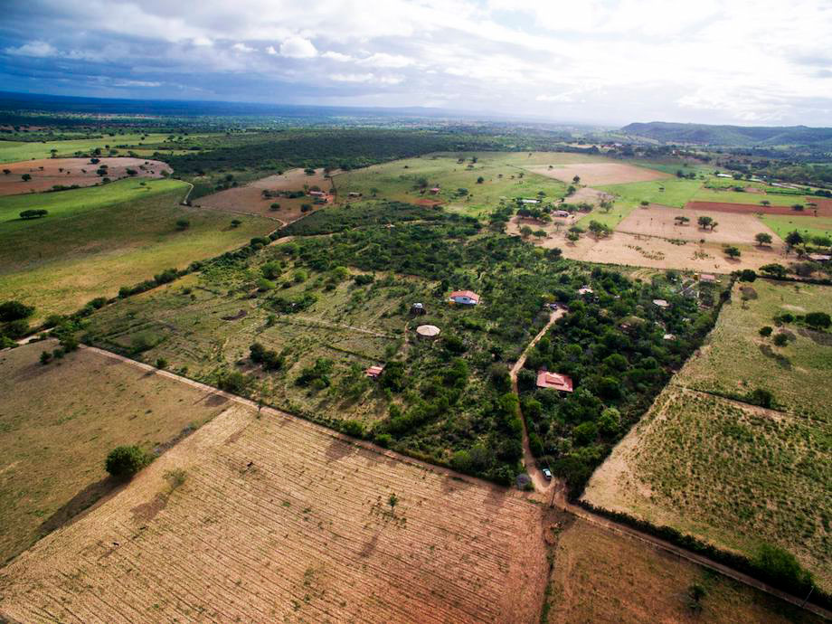 Marsha Hanzi fala sobre a agricultura regenerativa em Tucano-BA