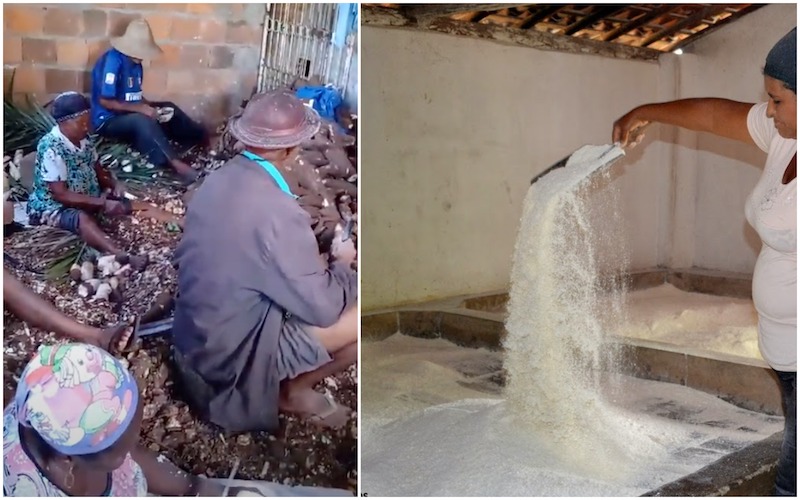 Araci tem casas de farinha trabalhando e revivendo tradições.