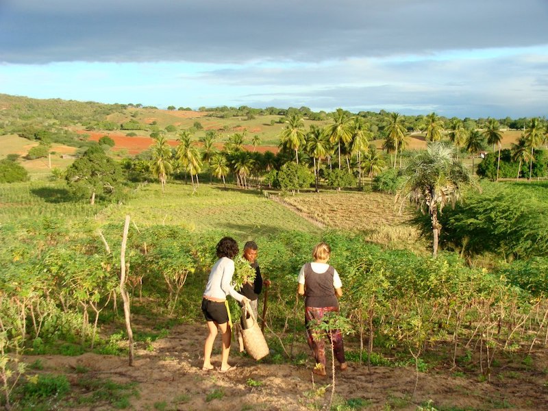 Mulher desenvolve um paraíso produtivo em zona rural de Tucano.