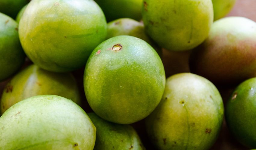 Sabores Exuberantes em Meio à Adversidade