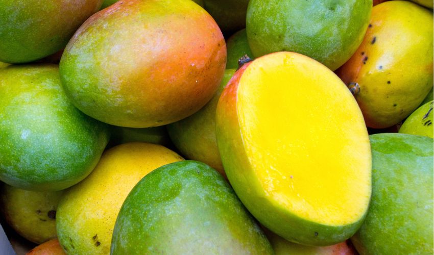 Sabores Exuberantes em Meio à Adversidade